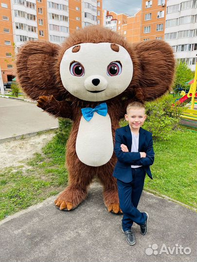 Поздравление от Чебурашки, аниматор