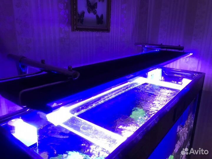 Морской аквариум