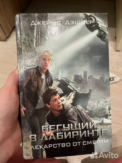 Книга Бегущий в лабиринте