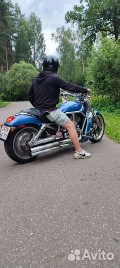 Харлей-дэвидсон в-род