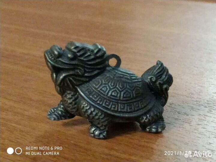 Кот, кролик, лошадь и дракон