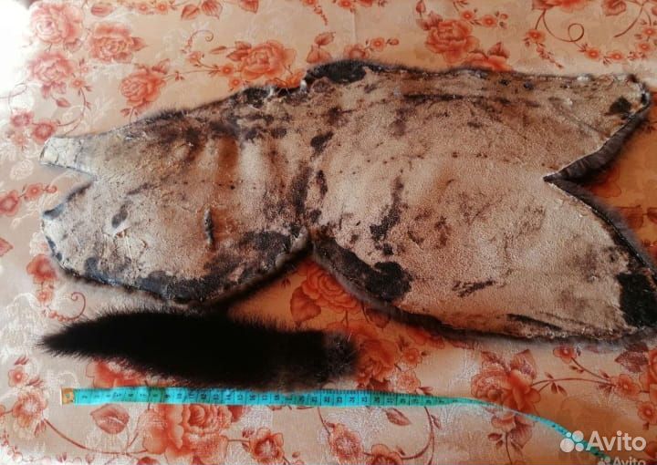 Шкурки мех норки