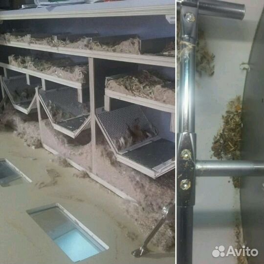 Чистка Реставрация подушек матрасов одеял