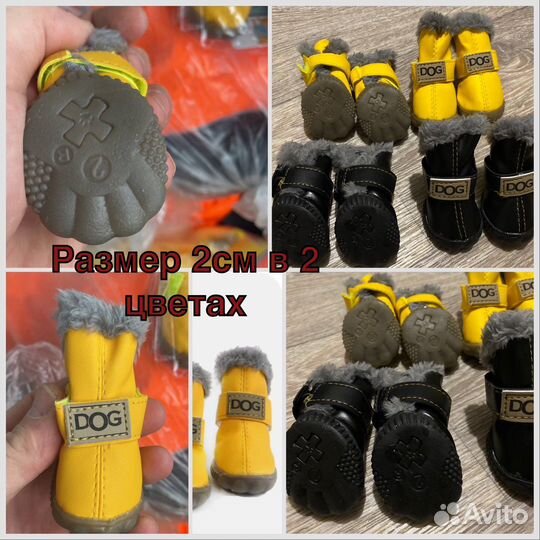 Одежда и обувь для маленьких и крупных собак