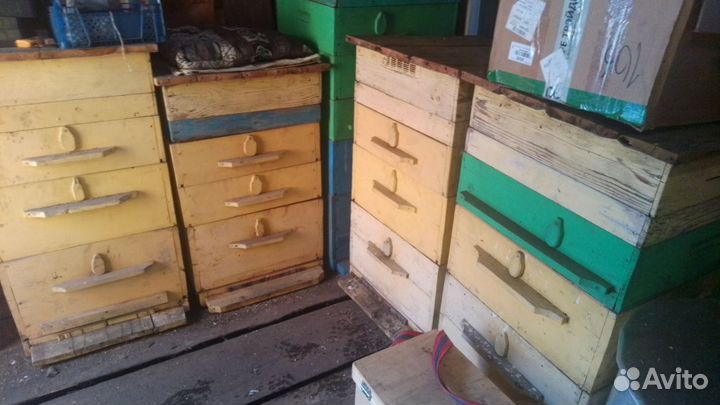 Продам ульи для пчел