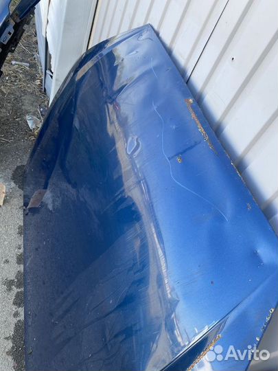 Капот Ford Focus