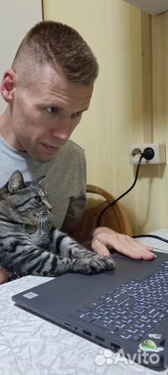 Компьютерный мастер