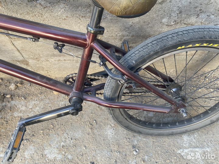 Bmx mongoose
