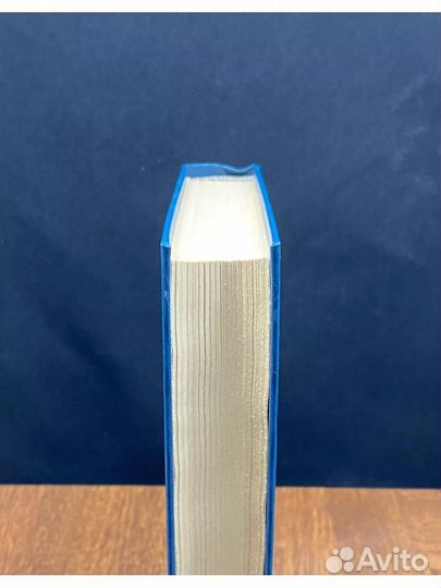 Записки революционера