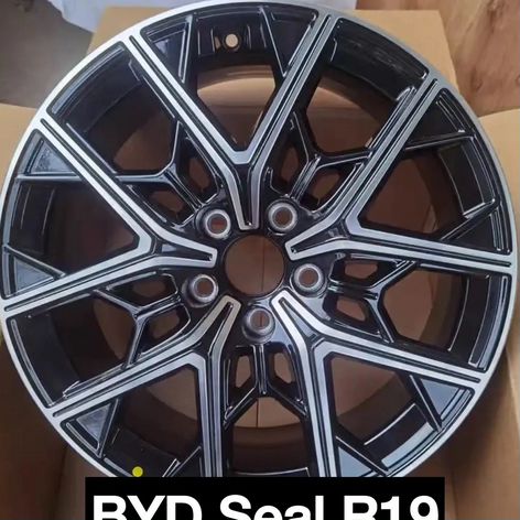 Литые диски BYD 8×R19 5×120