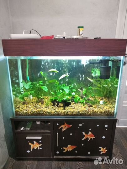 Аквариум 240 литров