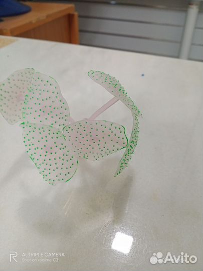 Водоросли для аквариума