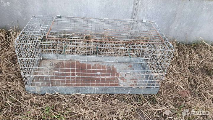 Клетки для кур, кроликов