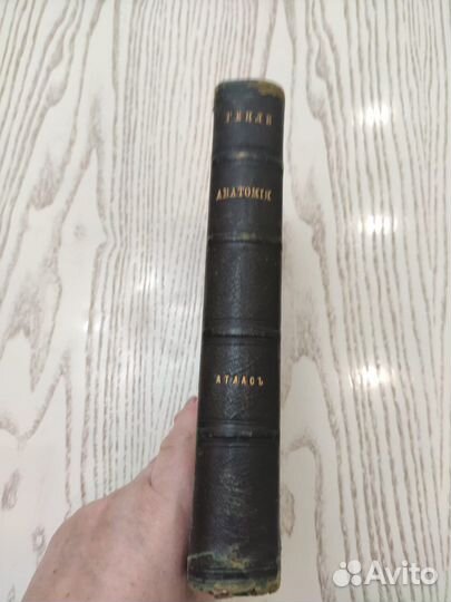 Антикварные книги Атлас по анатомии Генле 1881
