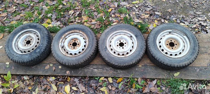 Tunga Nordway 2 12.5