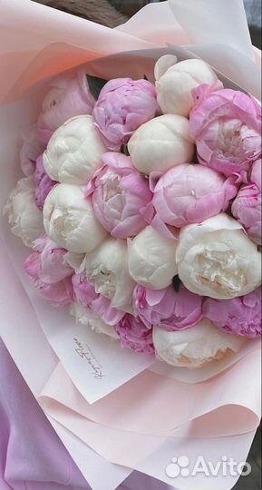 Пионы дубровка