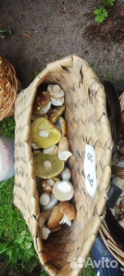 Пестерь из бересты