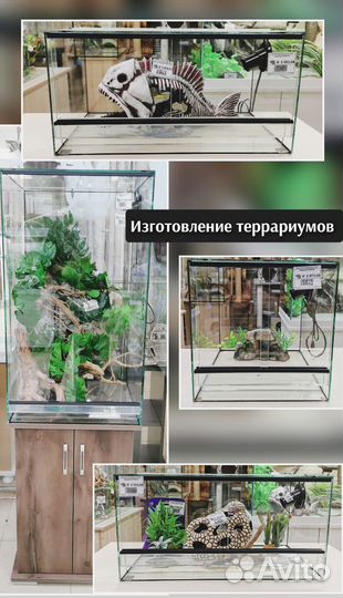 Террариумы