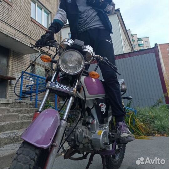 Альфа 125кубов