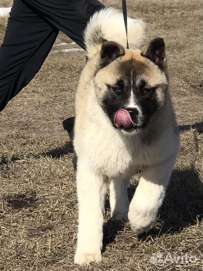 Яркая девочка