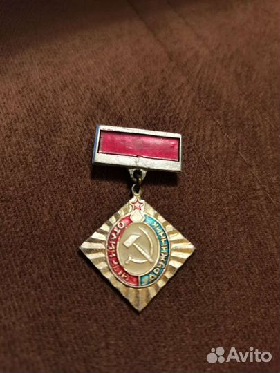 Значок дружинник