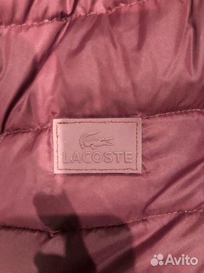 Пуховик lacoste