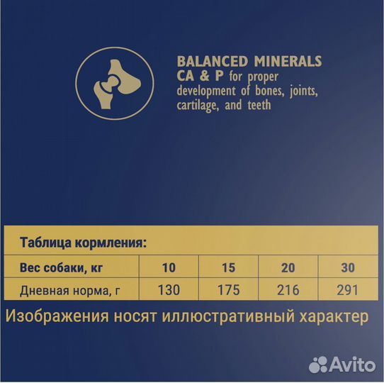 Корм для собак