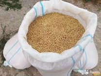 Зерно пшеница ячмень кукуруза с доставкой