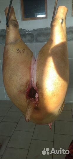 Мясо свинина домашняя / свежий забой