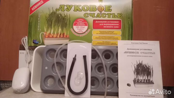 Луковое счастье