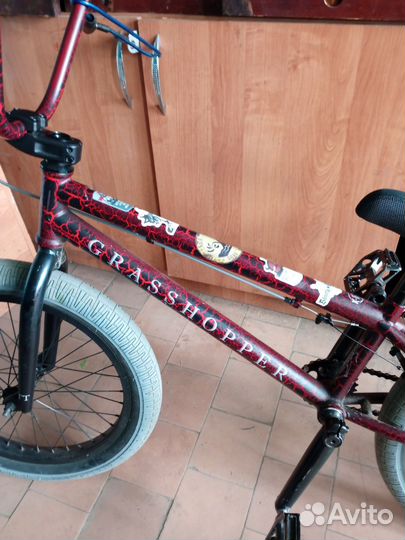 Bmx tech team grasshopper