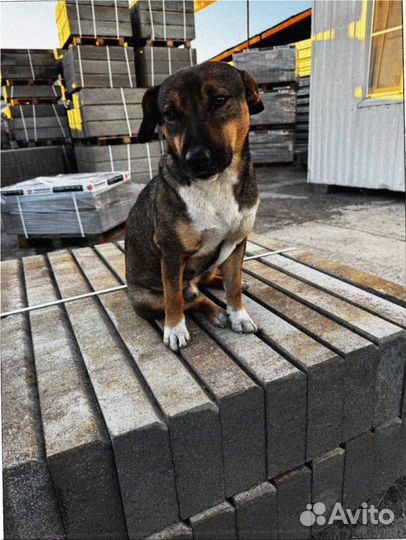 Тротуарная плитка Новый город осень от 120 м2