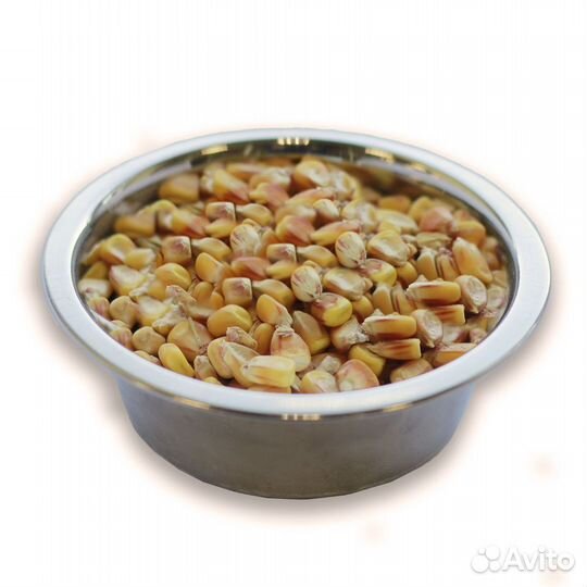 Зерно в ассортименте