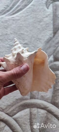 Декорации для аквариума