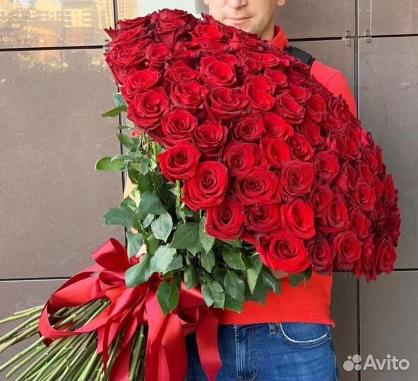 Большие розы Эквадор 51/101/151