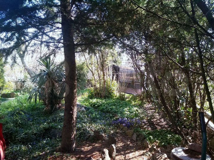 Участок 4,5 сот. (СНТ, ДНП)