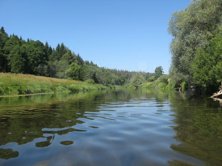 2-к. квартира, 47,5 м², 4/5 эт.