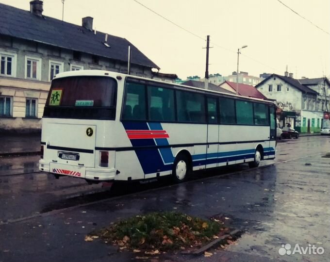 Автобус на заказ