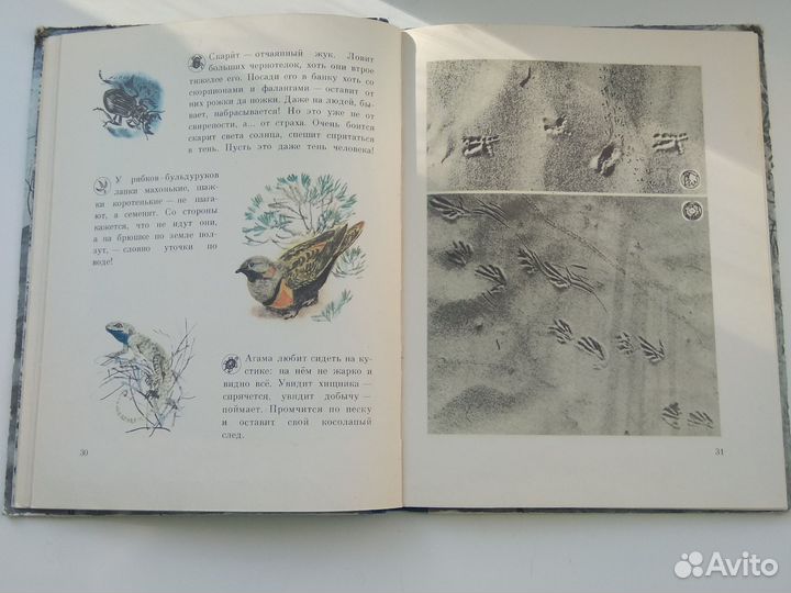 Книги для детей