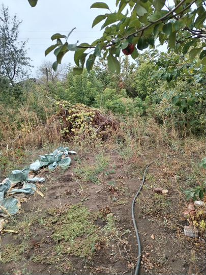 Дом 74,9 м² на участке 9,3 сот.