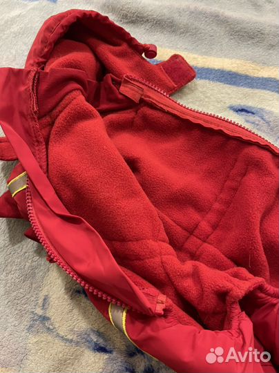 Одежда для собак