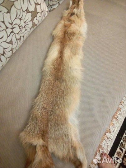 Шкурка животного