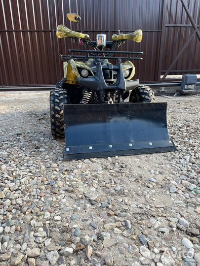 Avantis Hunter 8+ (125)