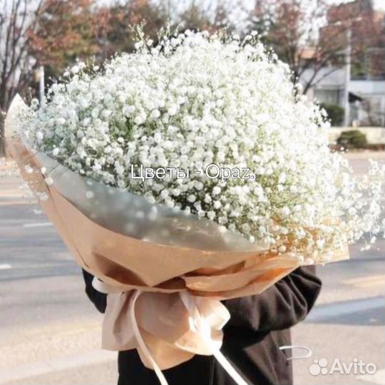 Цветы букеты из гипсофилы с доставкой