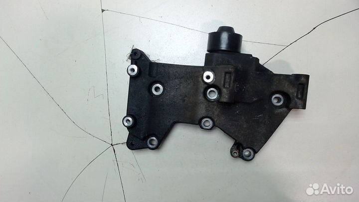 Натяжитель приводного ремня Renault Clio, 2009