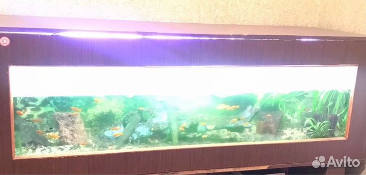 Аквариум с тумбой