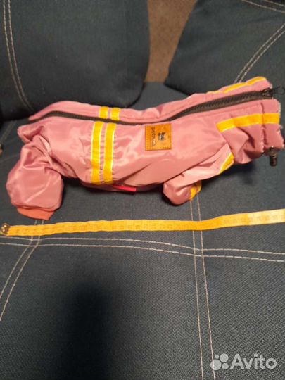 Одежда для собак