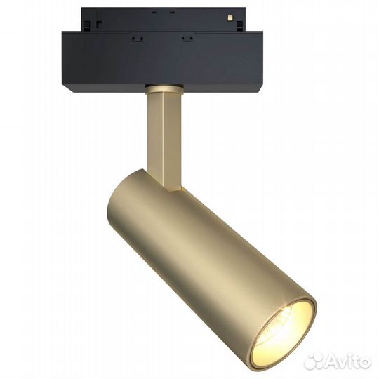 Светильник на штанге Maytoni Focus LED TR019-2-10W