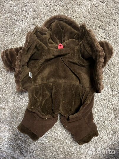 Одежда для собак