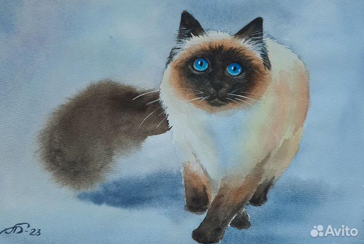 Картинки котики